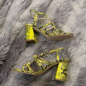 Meet your Posher, Jac